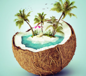 corrected-portfolio-4